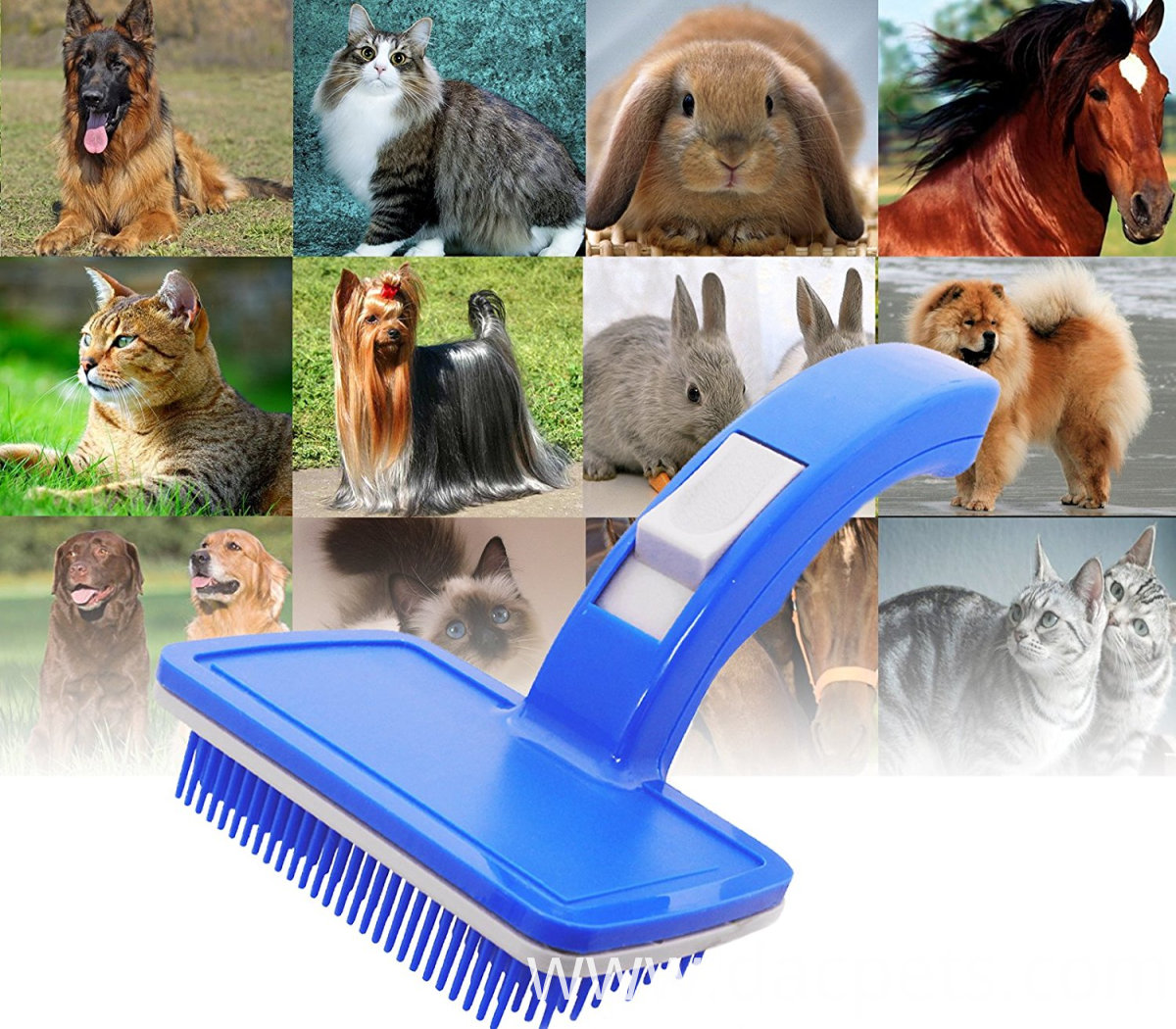 Self Cleaning pet brush Self Cleaning pet brush